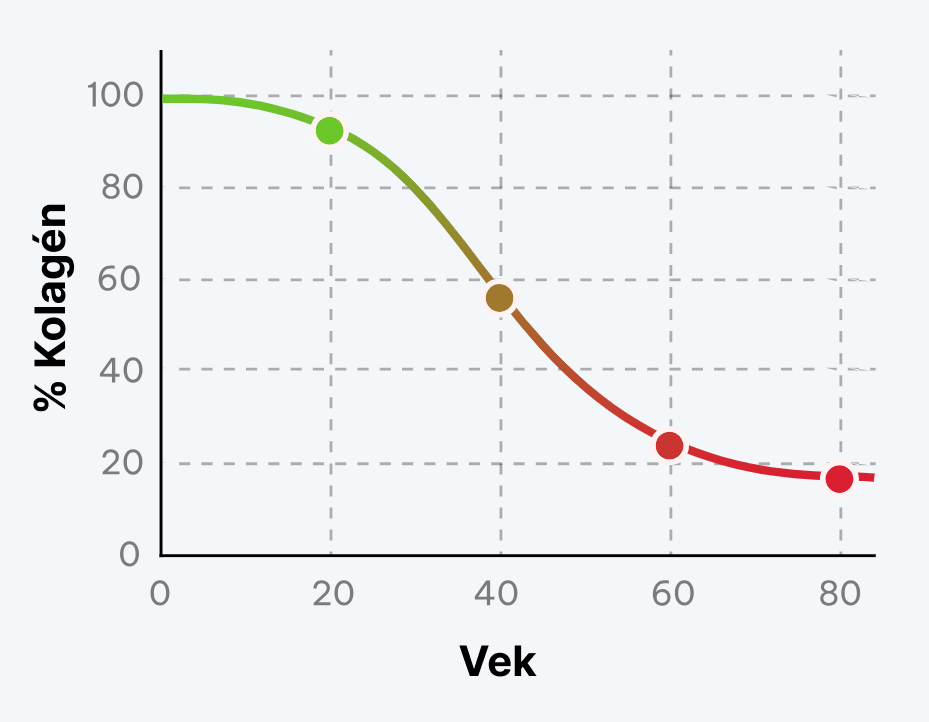 Graf znázorňuje, ako hladina kolagénu v tele prirodzene klesá s pribúdajúcim vekom.
